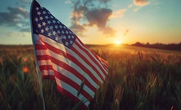 Tariffs on Automotive Parts: Why Buying American-Made Is More Valuable Than Ever