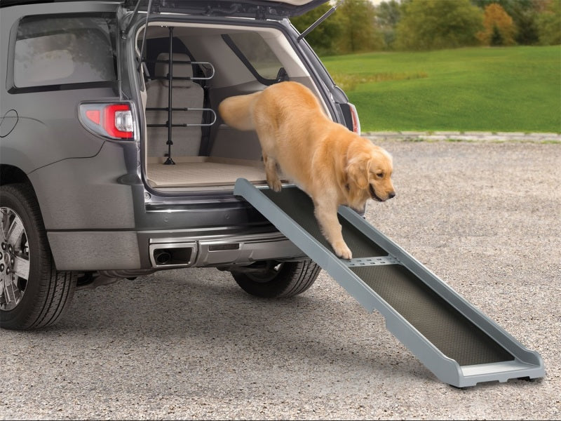 Ramp Up Your Pet’s Mobility: Comparing the WeatherTech PetRamp and EasyRamp